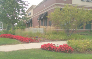 Freedom Commons sign with red flowers planted in front