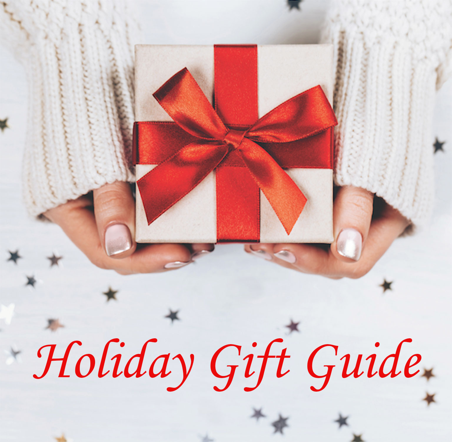 HolidayGiftGuide • Freedom Commons